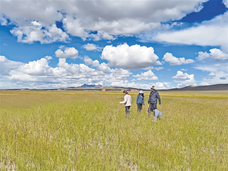 先锋自拍 我可以分享一些实用技巧