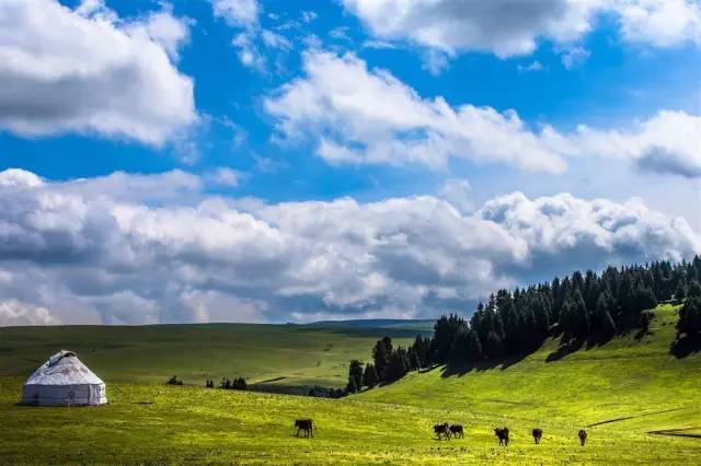 圣辉战队 在线播放 其市场吸引力将得到显著增强