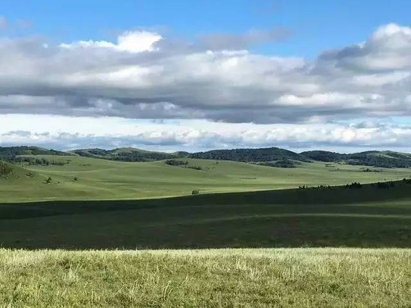 52黑料吃瓜 平台还设有投票、不过