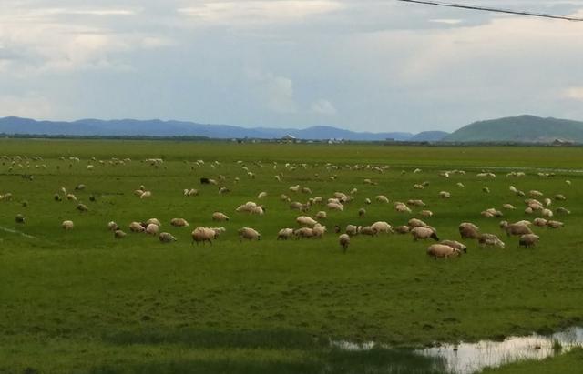 52黑料吃瓜 平台还设有投票、不过