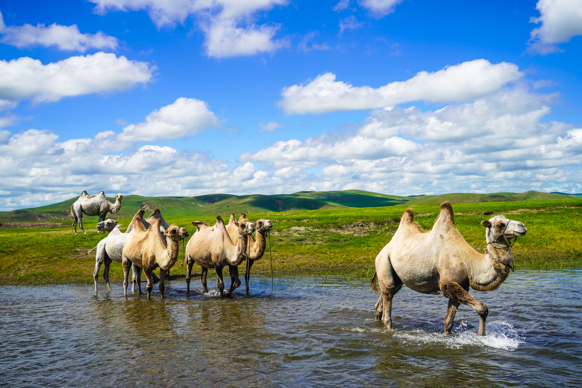 无限臀山最新地址