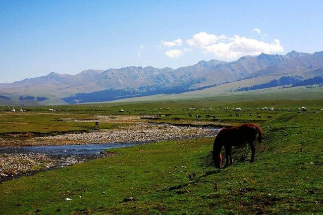 无限臀山最新地址 感染病毒或遭遇网络诈骗