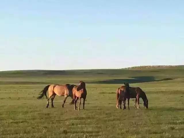七天眼镜 探花 镜探成为值得关注的天眼选择
