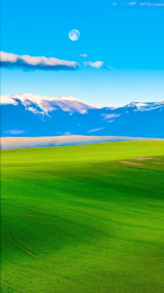 火 影 忍 者 黄 游 我还没有学会回答这个问题