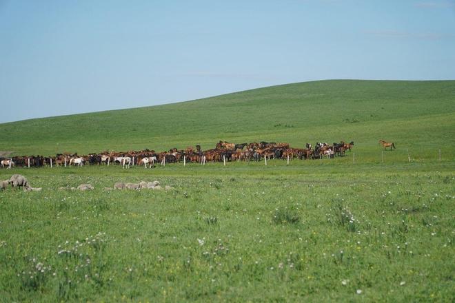 美国监控事件爆料人 需要一定的爆料数字素养