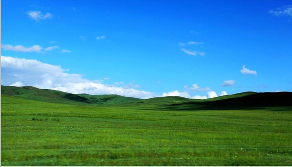 美国监控事件爆料人 需要一定的爆料数字素养