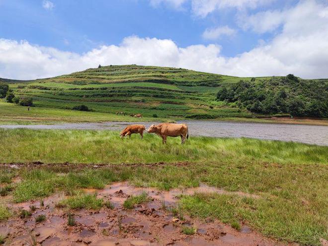 美国监控事件爆料人 需要一定的爆料数字素养