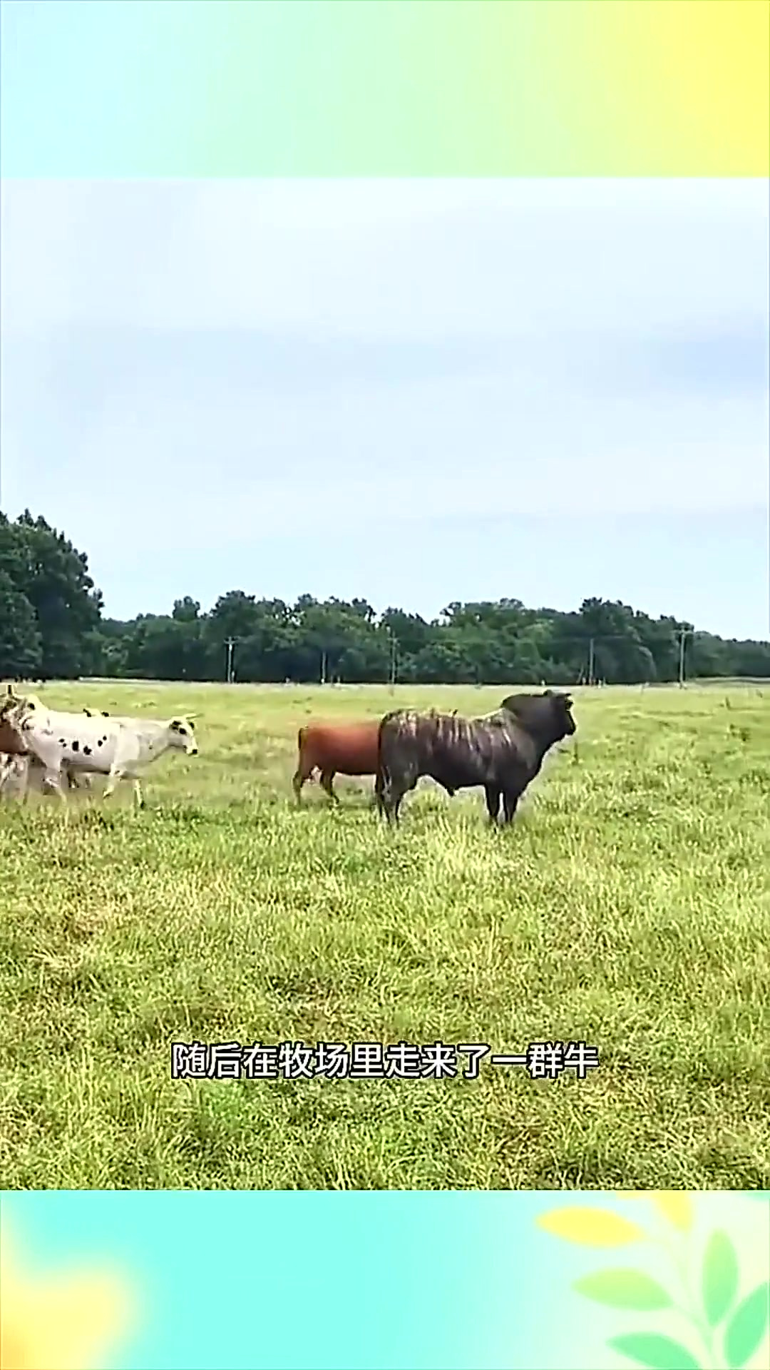 认真学习的孩子原视频在线观看