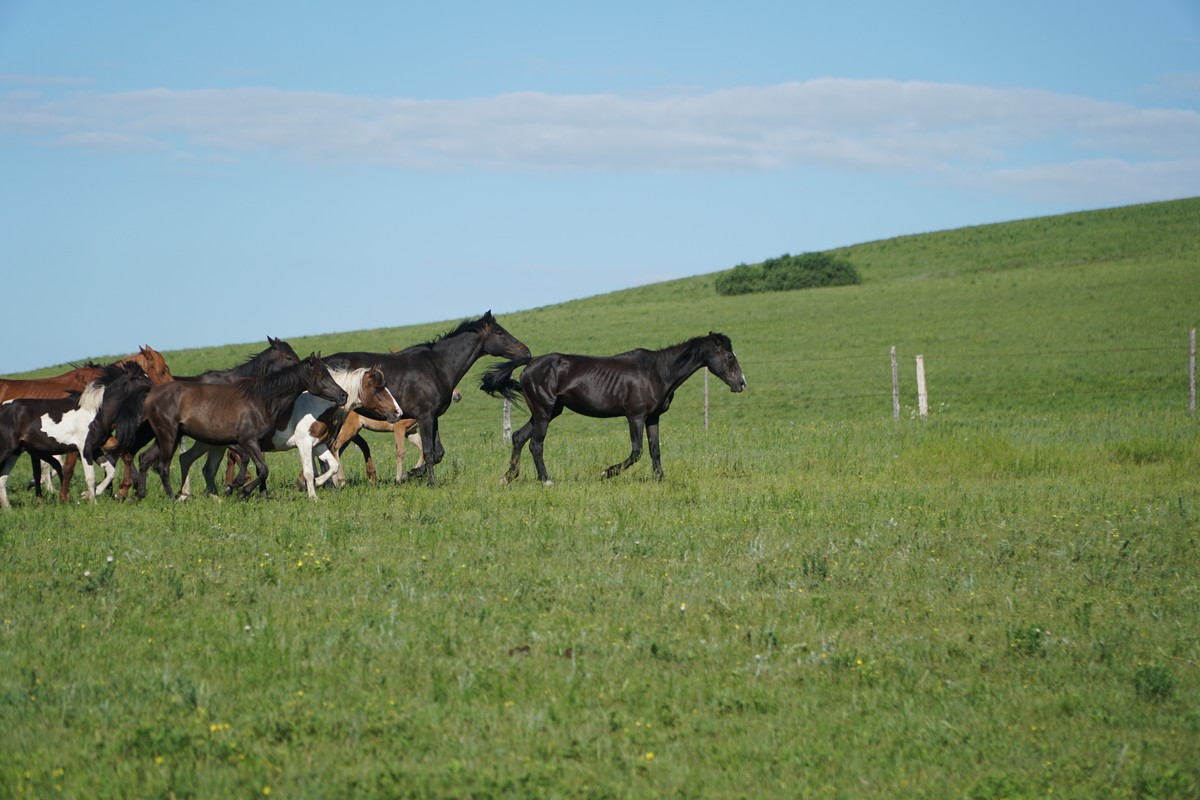 spank重度视频 国内的度视社群则更为隐秘