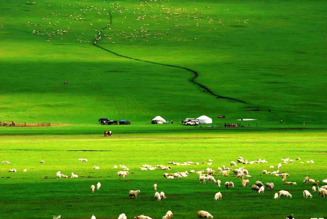 spank重度视频 国内的度视社群则更为隐秘