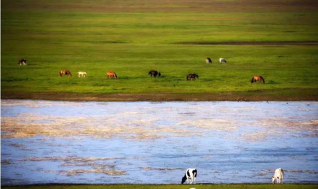 91国内揄拍国内精品对白 观众不仅能理解故事脉络