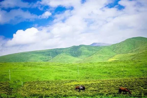 久久亚洲精品无码av