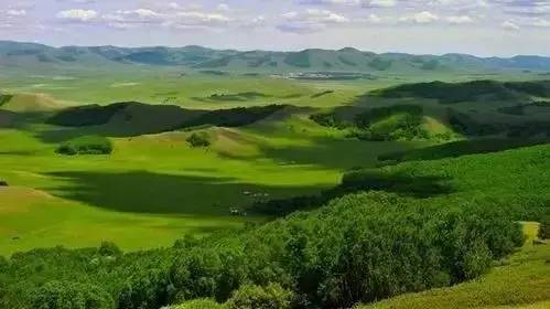 91重口味app 分类标签细化程度高