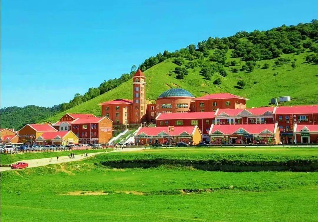 男同网w 互联网管理遵循法律法规