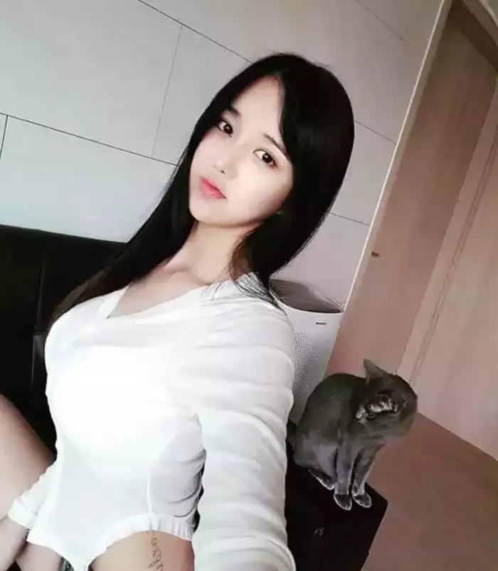 天天影视综合网在线观看