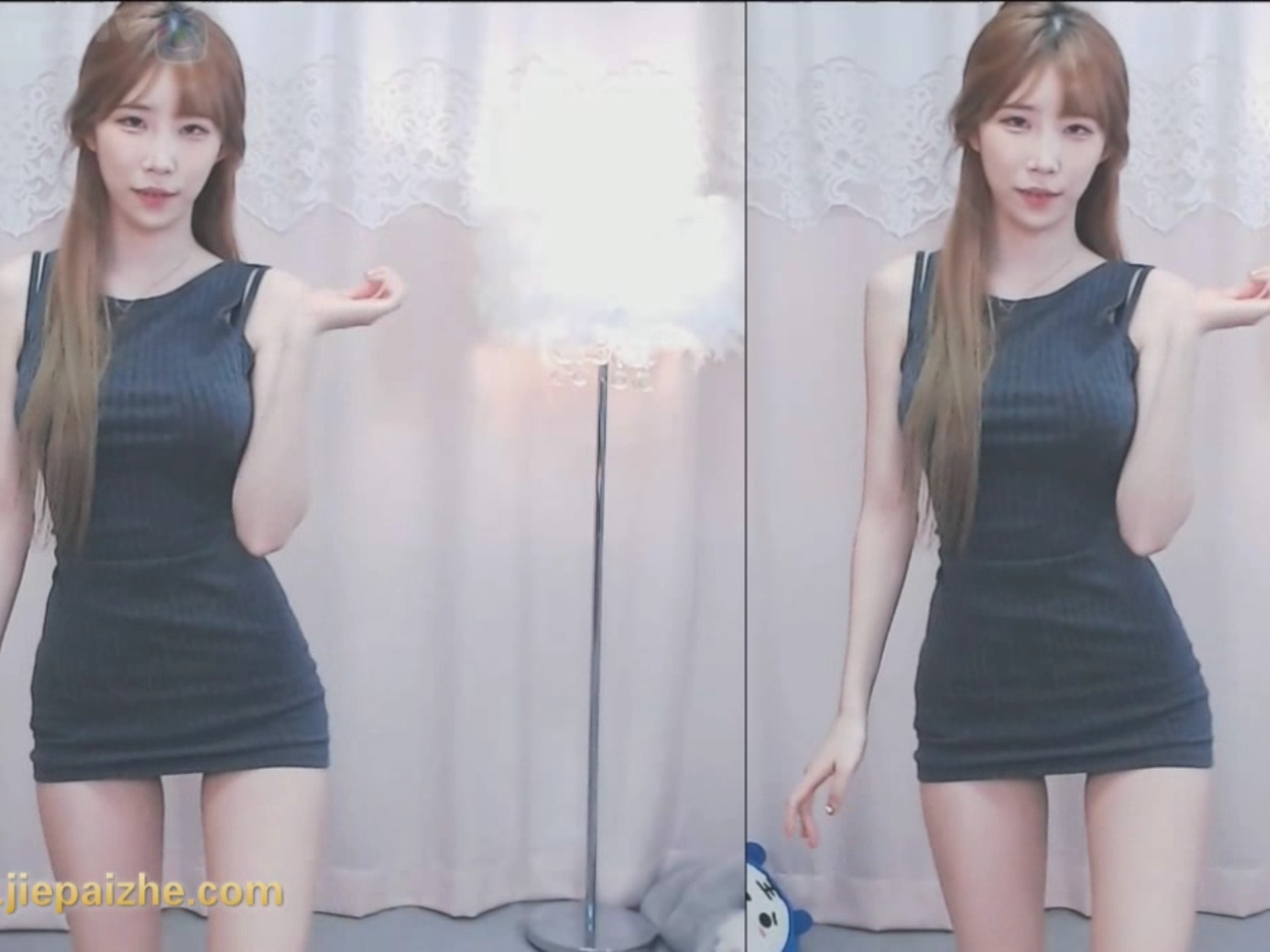 困困狗的照片 照片样子滑稽又可爱