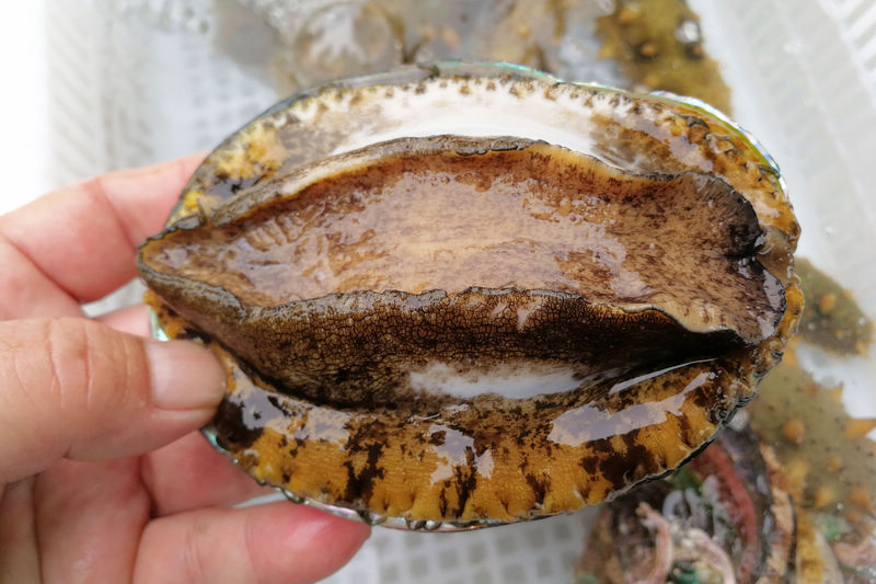 国产1卡二卡3卡四卡乱码视频