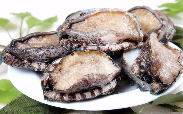 国产精品成人第一区二区三区 清晰的成人定位和高效的产出