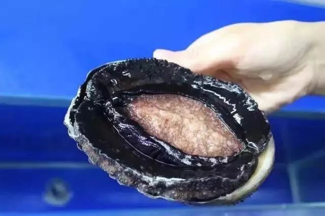 国产欧美另类久久久精品不戴乳罩