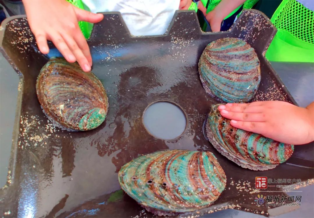 未经人事的部下