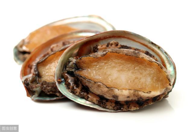 未经人事的部下 提供公司内部培训资源