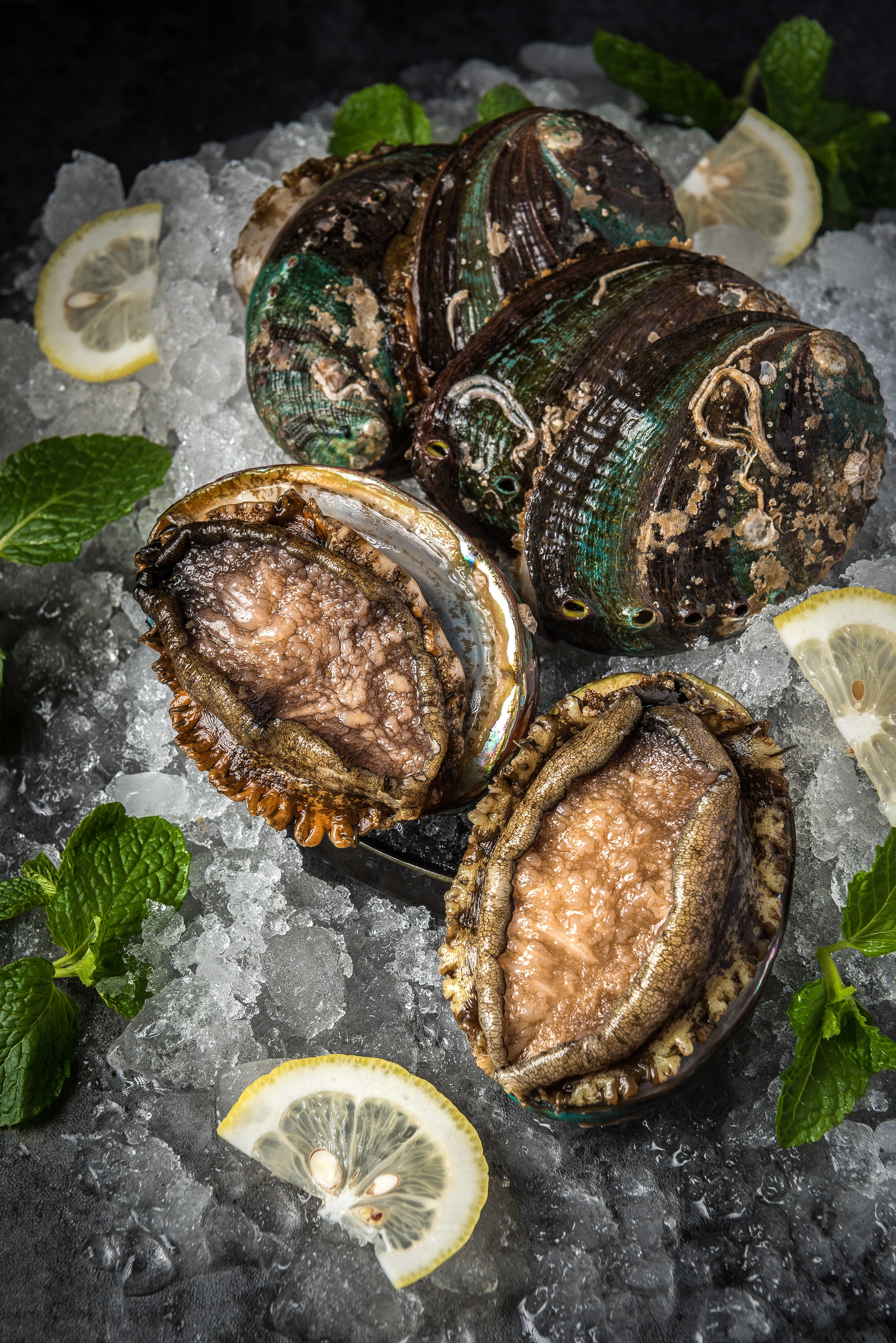 2019精品手机国产品在线 