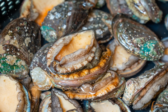 视频尤物 我们也可以保持一份觉察