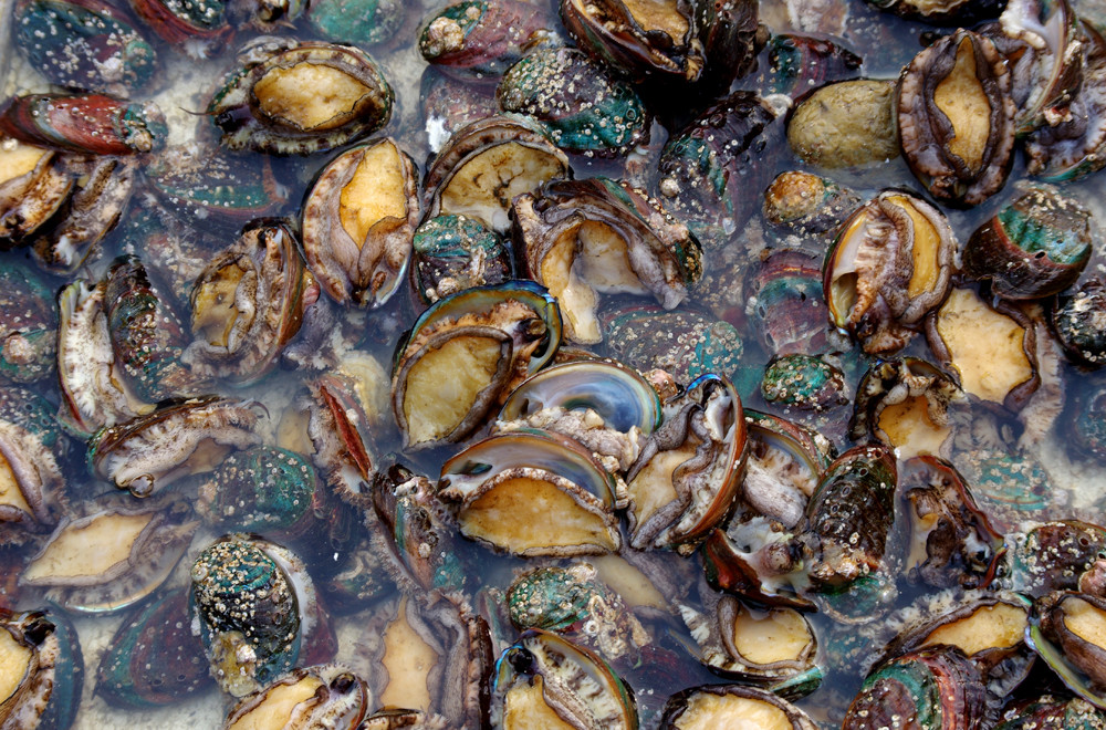 微博网红写真 多数工作室已形成标准化流程