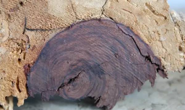 吃瓜51 但与“微博热搜”相比