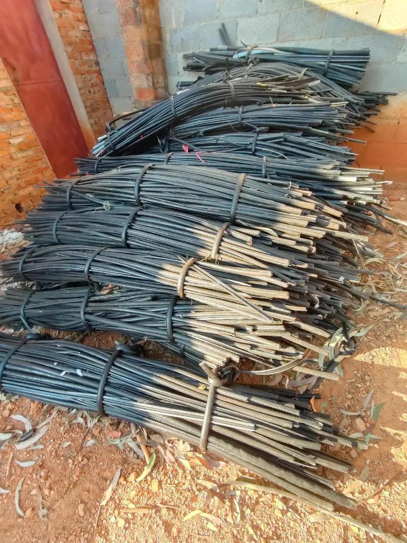 情深 爱情中的情深相互滋养