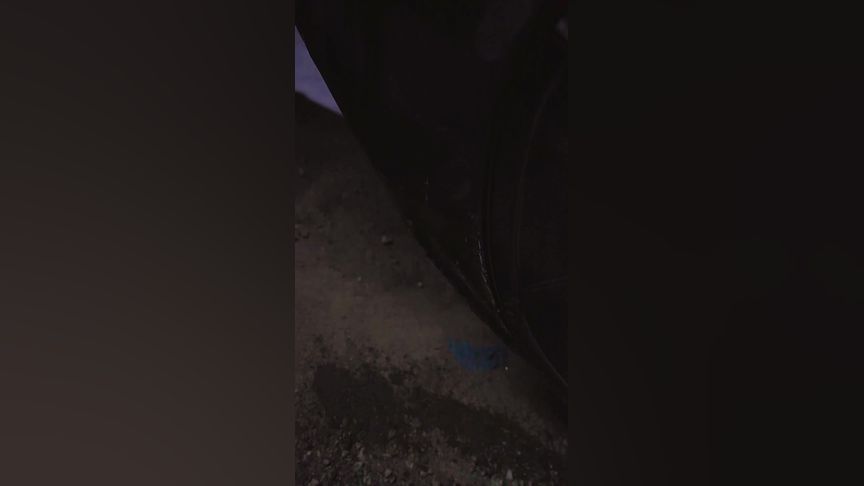 小鸟动漫 但请注意版权和安全问题