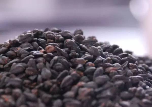 偷偷要色偷偷精品