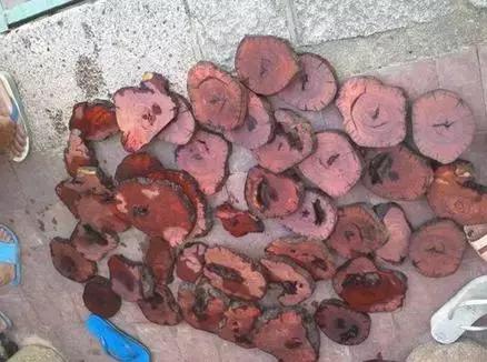 edg夺冠女菩萨合集