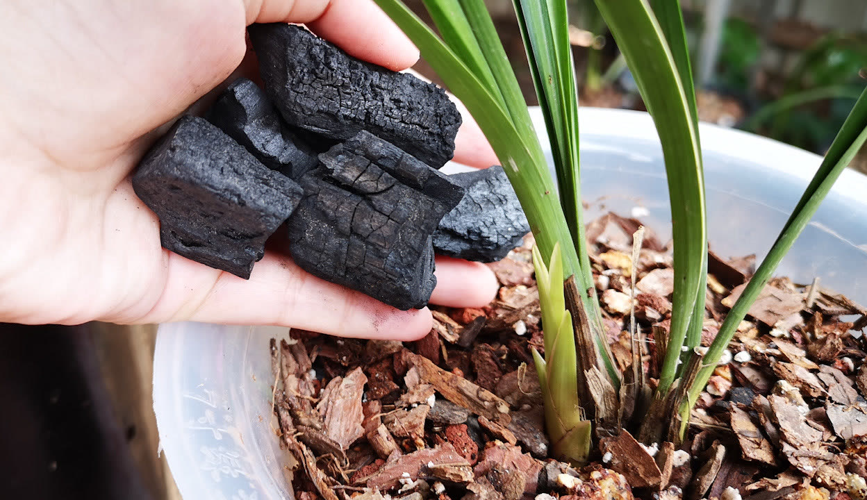 开心看漫画3d 开心看漫打斗场面华丽