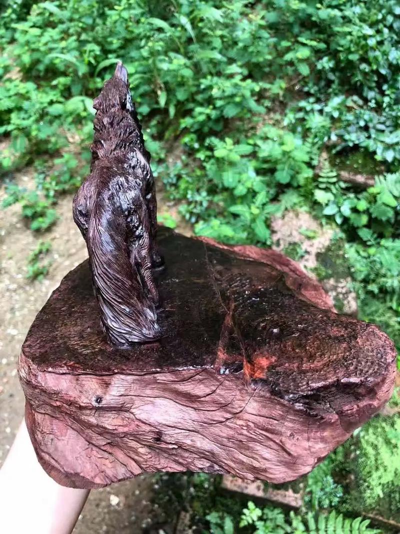 黑暗圣经全集下载