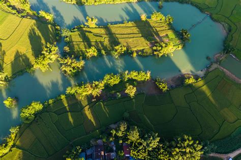 老王视频在线观看