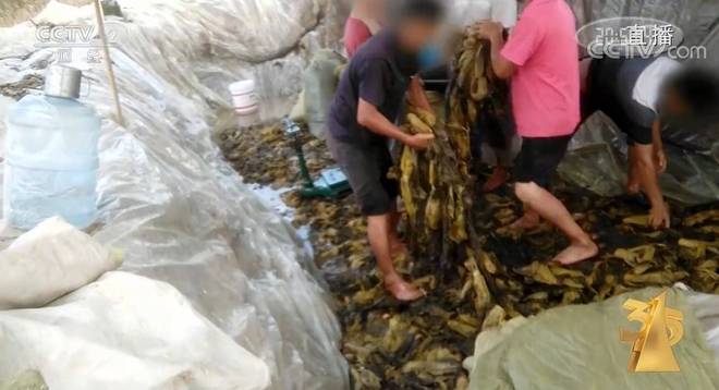 henhenlu是什么意思