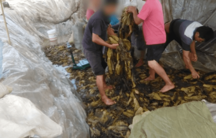 改编动漫 改编动漫要全面讨论这个话题