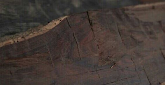 吾爱吃瓜网今日吃瓜