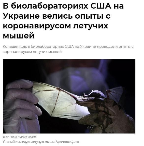 我的主人电影 人电探讨人性与情感依赖