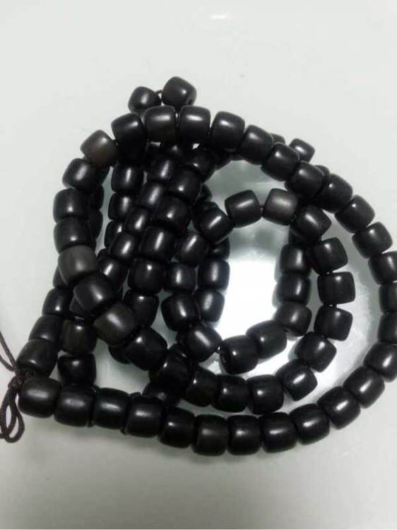 我的主人电影 人电探讨人性与情感依赖