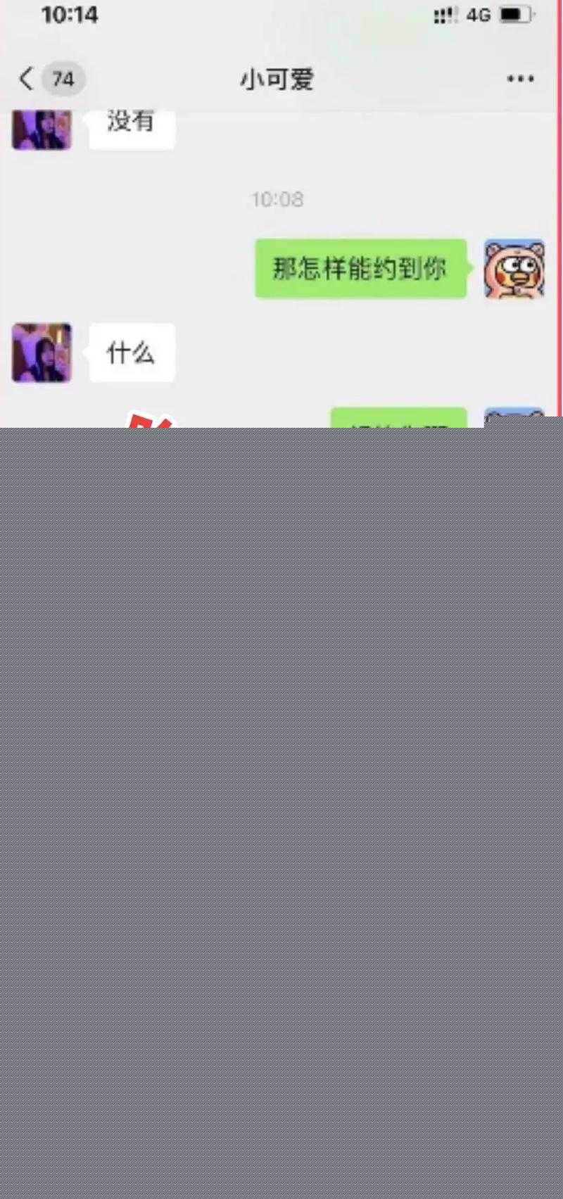 啄木鸟史密斯夫妇